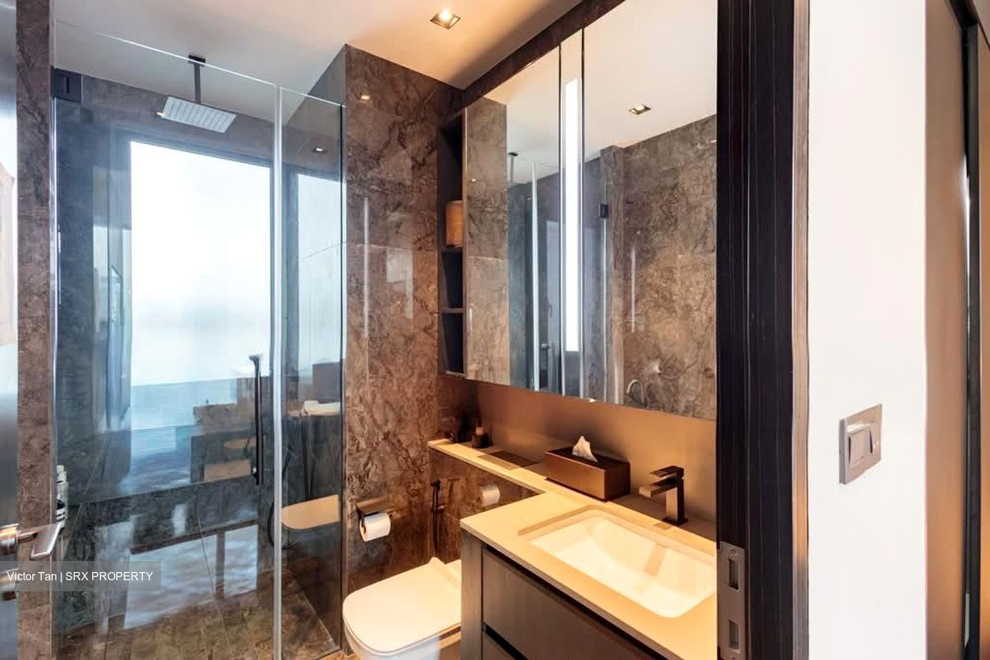 3 Cuscaden (D10), Apartment #582235611